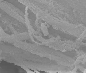 Mineralized electrospun structure structure