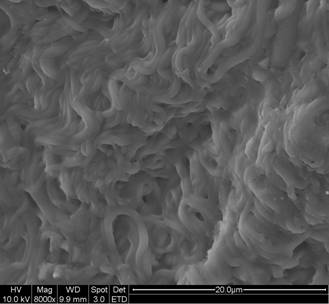 electrospun structure resembling small intestine ECM