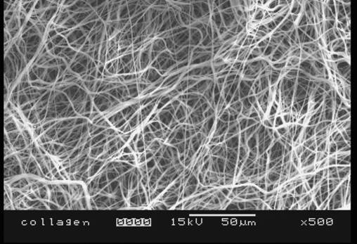 Electrospun structure resembling part of stromal lamella