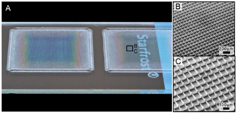 Ordered electrospinning melt fibers