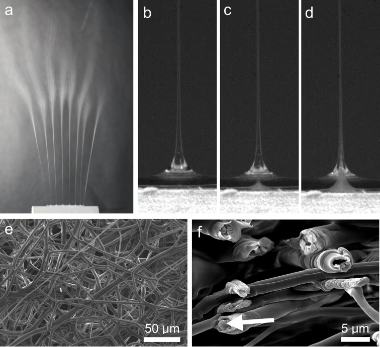 core sheath fiber