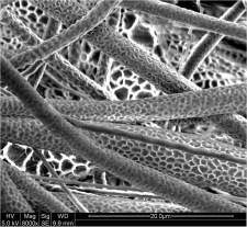 Pitted fibers